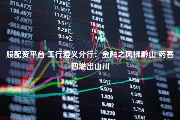 股配资平台 工行遵义分行：金融之风拂黔山 药香四溢出山川