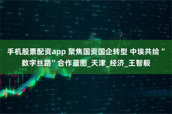 手机股票配资app 聚焦国资国企转型 中埃共绘“数字丝路”合作蓝图_天津_经济_王智毅